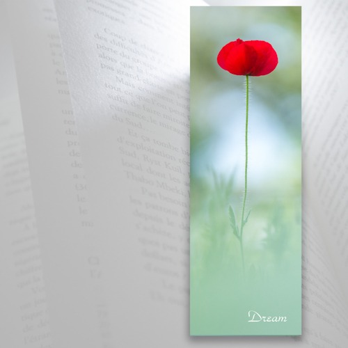 Marque-page fleur coquelicot entre les pages d'un livre