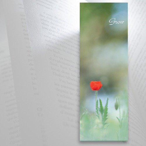 Marque-page fleur coquelicot entre les pages d'un livre