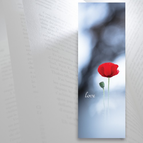 Marque-page fleur coquelicot entre les pages d'un livre