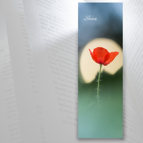 Marque-page fleur coquelicot entre les pages d'un livre