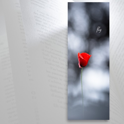 Marque-page fleur coquelicot entre les pages d'un livre